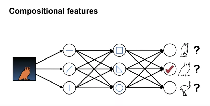 neural_networks_deep_neural_networks_compositional_features