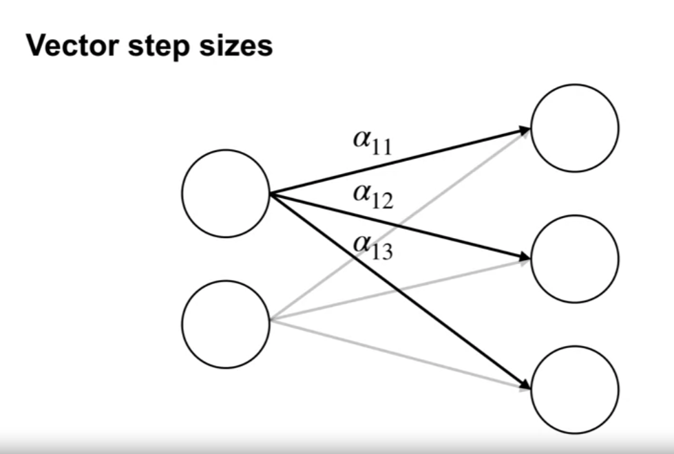 training_neural_networks_optimization_strategies_for_nns_vector_step_sizes